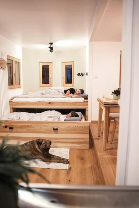 Wohnwagon Paul - Autarkie Erleben! - Tiny House Vila Oberschneiding Exterior foto